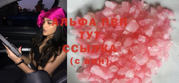 сатива Иннополис