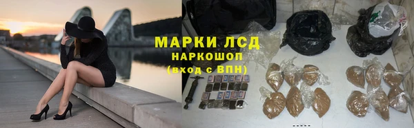 сатива Иннополис