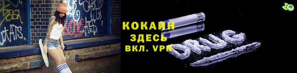 сатива Иннополис