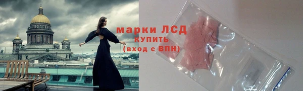 сатива Иннополис