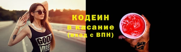 сатива Иннополис
