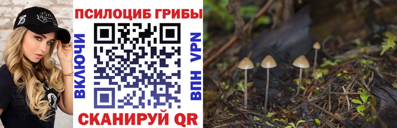 shop наркотические препараты Льгов Галлюциногенные грибы MAGIC MUSHROOMS